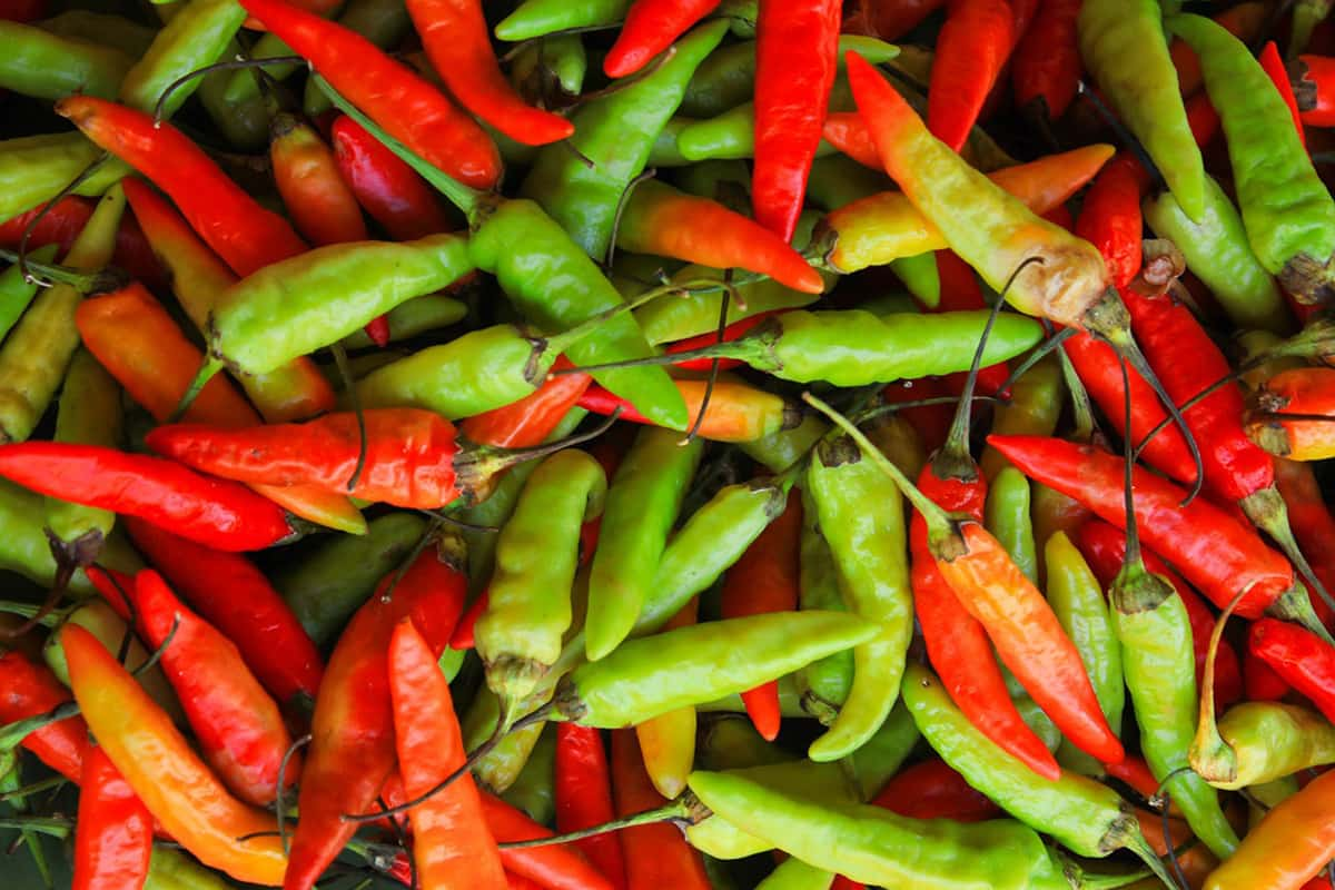 which-is-hotter-thai-red-curry-or-thai-green-curry